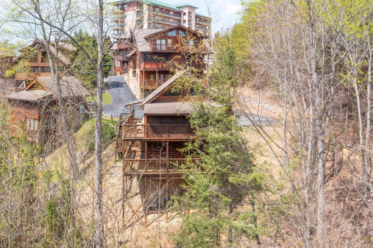 Вилла Big Bear Woods Пиджен-Фордж Экстерьер фото